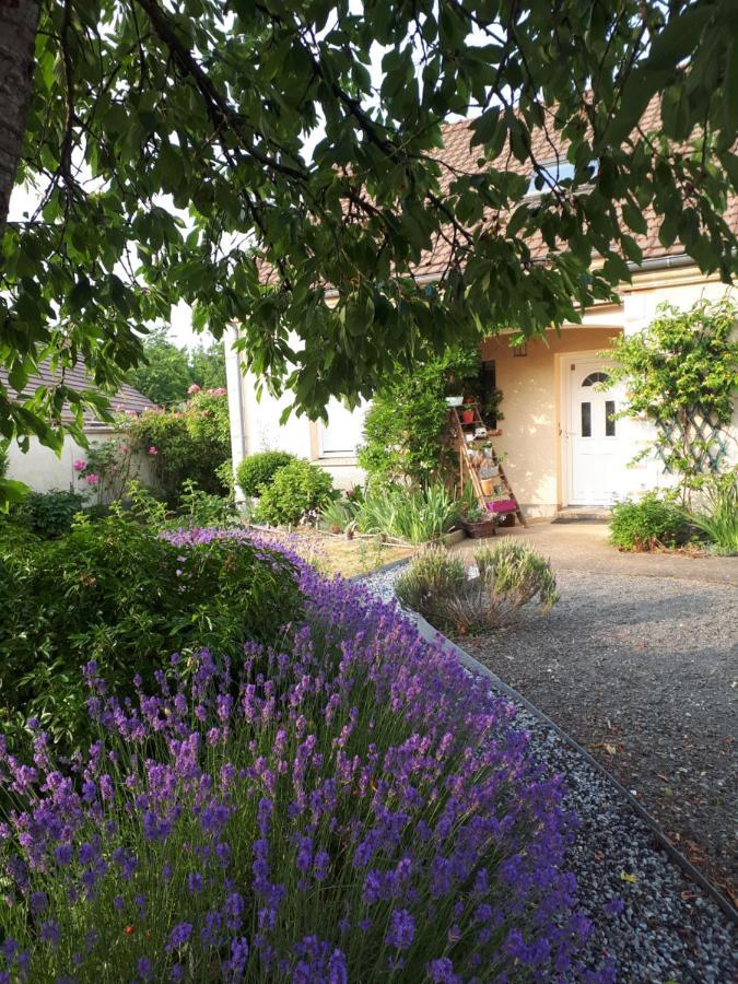 Chez Bea Apartment Saint-Ouen-en-Belin Exterior photo